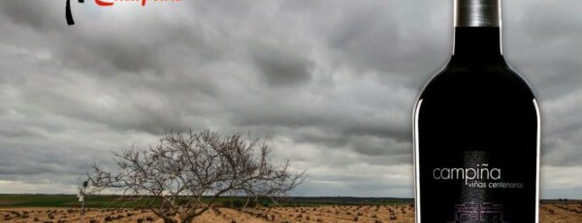 Web de bodegas Campiña