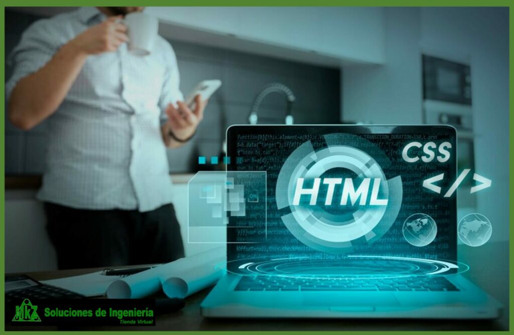 software y web